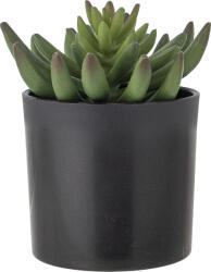 Bloomingville Floare artificială în ghiveci Bloomingville echeveria S (82061505)
