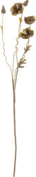 Bloomingville Floare artificală Bloomingville Poppy maro (82061477)