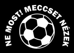 Lábtörlő-Ne most meccset nézek II. - Ajándék ötlet focikedvelőknek (L026)