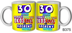 Bögre - 30 évembe került - Születésnapi ajándék (B375)