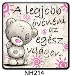 Hűtőmágnes - A legjobb óvónéni - Ajándék ötlet Óvónéninek (NH214)