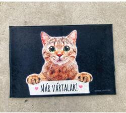  Lábtörlő - Már vártalak Cicás (LA098)