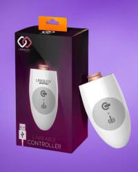 LINK&JOY Controller Usb - Vezérlő, cserélhető fejekhez