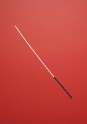 Fetish Addict - Vesszőző pálca