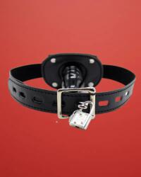 Fetish Addict - Pénisz alakú szájpecek lakattal