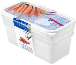 Rotho DOMINO set de vase pentru congelator 3 x 1, 2 L (1755310236)