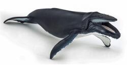 Papo Figurina Papo - Universul acvatic, Balena cu cocoasa Figurina