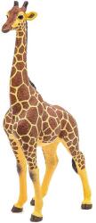 Papo Figurina Papo - Animale salbatice, Girafa Mascul Figurina
