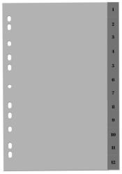 Optima Index plastic gri, A4, 120 microni, numeric 1-12, Optima (OP-5131120112)