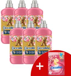 Coccolino Honeysuckle & Sandalwood Öblítő koncentrátum 306 mosás 6x1275ml + Ajándék Coccolino Illatpárna