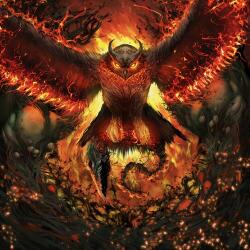 RAD OWL Rage Gracefully - facethemusic - 13 990 Ft