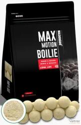 Haldorádó Max Motion Boilie Long Life 20 mm Juhar & Banán - Főzött Haldorádó Bojli (HD33339)