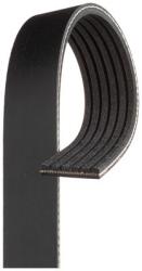 GATES Curea transmisie cu caneluri GATES 6PK1125 (6PK1125)