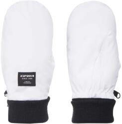 ICEPEAK Ски ръкавици hayingen