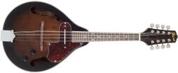 Ibanez M510E Dark Violin Sunburst