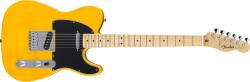 Fender Standard Telecaster MN BSB