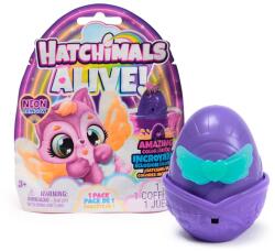 Spin Master Hatchimals Alive! : Neon Rainbow meglepetés figura - Spin Master (6072752) - jatekshop