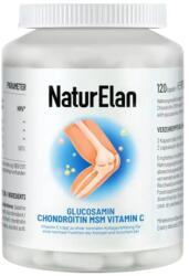 Natur Elan Naturelan glükozamin-kondroitin MSM-mel és C-vitaminnal, 120 kapszula