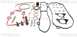 TRISCAN Set curea de distributie TRISCAN 8647 10099 (8647 10099)