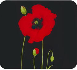 Maximex Edzett üveg falvédő tűzhelyhez 50x56 cm Poppy - Maximex