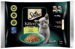 Sheba Kitten Choice of Flavours 4x85g nedves teljes értékű cicatáp szószos darabokban: lazac, csirke