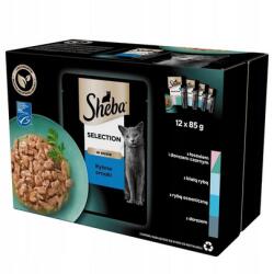 Sheba Selection Fish Flavours tasak 12x85 g nedves teljes értékű eledel felnőtt macskáknak szaftos szeletekben lazaccal és fekete tőkehallal, fehér halakkal, óceáni halakkal, tőkehallal