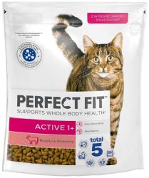 Perfect Fit (Active 1+) 750g marhahúsban gazdag teljes értékű szárazeledel felnőtt macskák számára