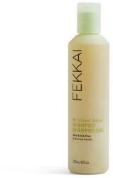 FEKKAI Brilliant Gloss Sampon 250 ml