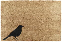 Artsy Doormats Kókuszrost lábtörlő 40x60 cm Bird - Artsy Doormats