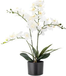 Bloomingville Művirág (magasság 84 cm) Orchid - Bloomingville