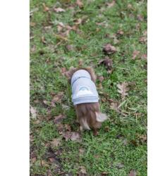 TRIXIE Rainbow Falls Hoodie - Szürke, Mintás Kutyapulóver (S, 33 cm)