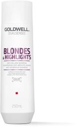 Goldwell Dualsenses Blonde & Highlights Anti-Yellow Shampoo 250 ml