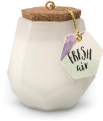 Paddywax Lumânare parfumată Paddywax PRISM WHITE FRESH AIR (2, 5 oz / 70 g),