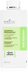 Brelil Hair Express Prodigious Shampoo sampon a haj növekedéséért és megerősítéséért a hajtövektől kezdve 250 ml