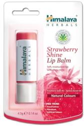 Himalaya Balsam de buze cu capsuni, 4.5 g, Himalaya