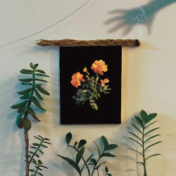 WHY? Well I Fell Into - facethemusic - 11 690 Ft