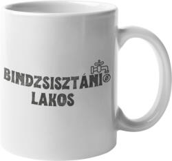 Bindzsisztáni Lakos - Bögre (498628)