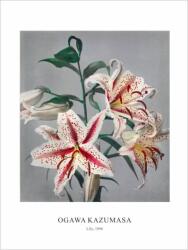  Принт Lily, Огава Казумаса - репродукция (Print1074)