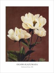  Принт Hærdaceous Peony, Огава Казумаса - репродукция (Print1071)