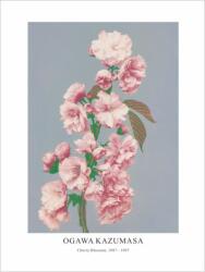  Принт Cherry Blossom, Огава Казумаса - репродукция (Print1076)