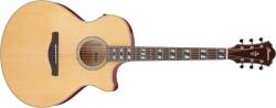Ibanez AE170 NTR