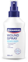 Hansaplast sebfertőtlenítő spray 100 ml