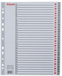 Esselte Index Esselte, plastic, reciclabil, A4 MAXI, 1-31, gri (ESS100127)