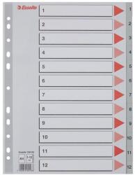 Esselte Index Esselte A4 numerotat 1-12 (ESS100106)