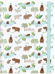  BSB notesz (16x21cm, midi, 160 old. , vonalas, gumis) Capybara Life (5) (343062)