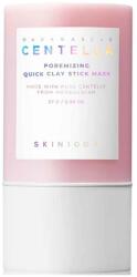 Skin1004 Madagascar Centella Poremizing Quick Clay Stick Mask, 27g Masca de fata