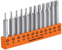 Truper EXPERT P12-2T Torx bitkészlet, 50 mm, T6 - T40, 12 darabos (101678) (T101678)