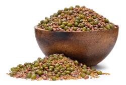 GRIZLY Fasole mungo, alfalfa, ridiche BIO mix de semințe pentru germinare 250 g