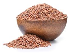 GRIZLY Ridiche BIO semințe pentru germinare 250 g