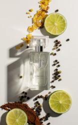 Tomonski Picaro M5 EDP 50 ml Parfum